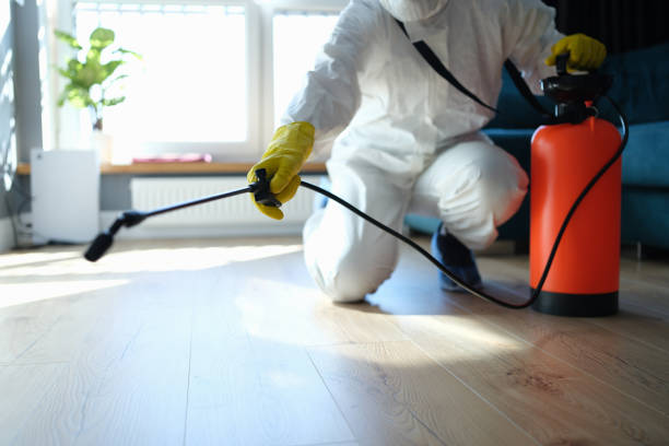 Flea Control Services in Sunrise Beach Village, TX