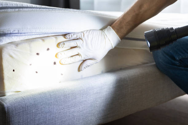 Best Exterminator Services  in Sunrise Beach Village, TX
